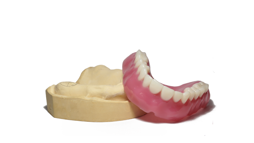 harzlabs_dental_pink_model_2.png